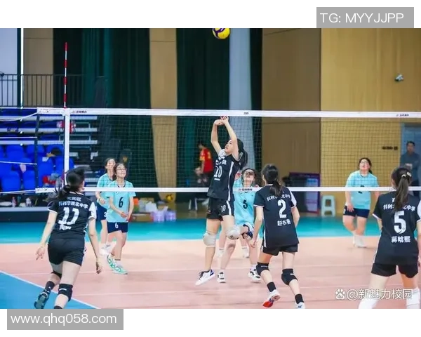 南京排球队在全国排球团队协作排行榜中荣获第七名的佳绩