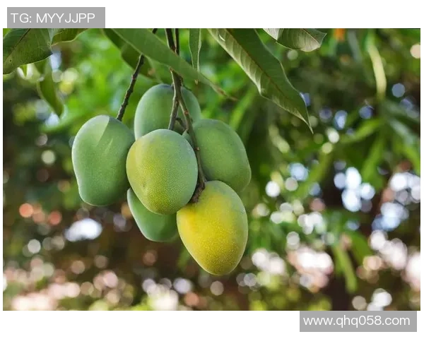 绿色足球明星雪糕的美味与活力完美结合的创意展示